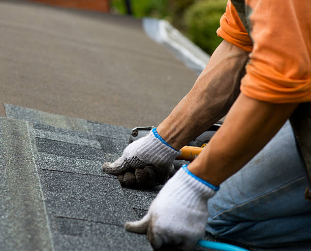 Best Local Roofing Companies  in Lincoln Rk, PA